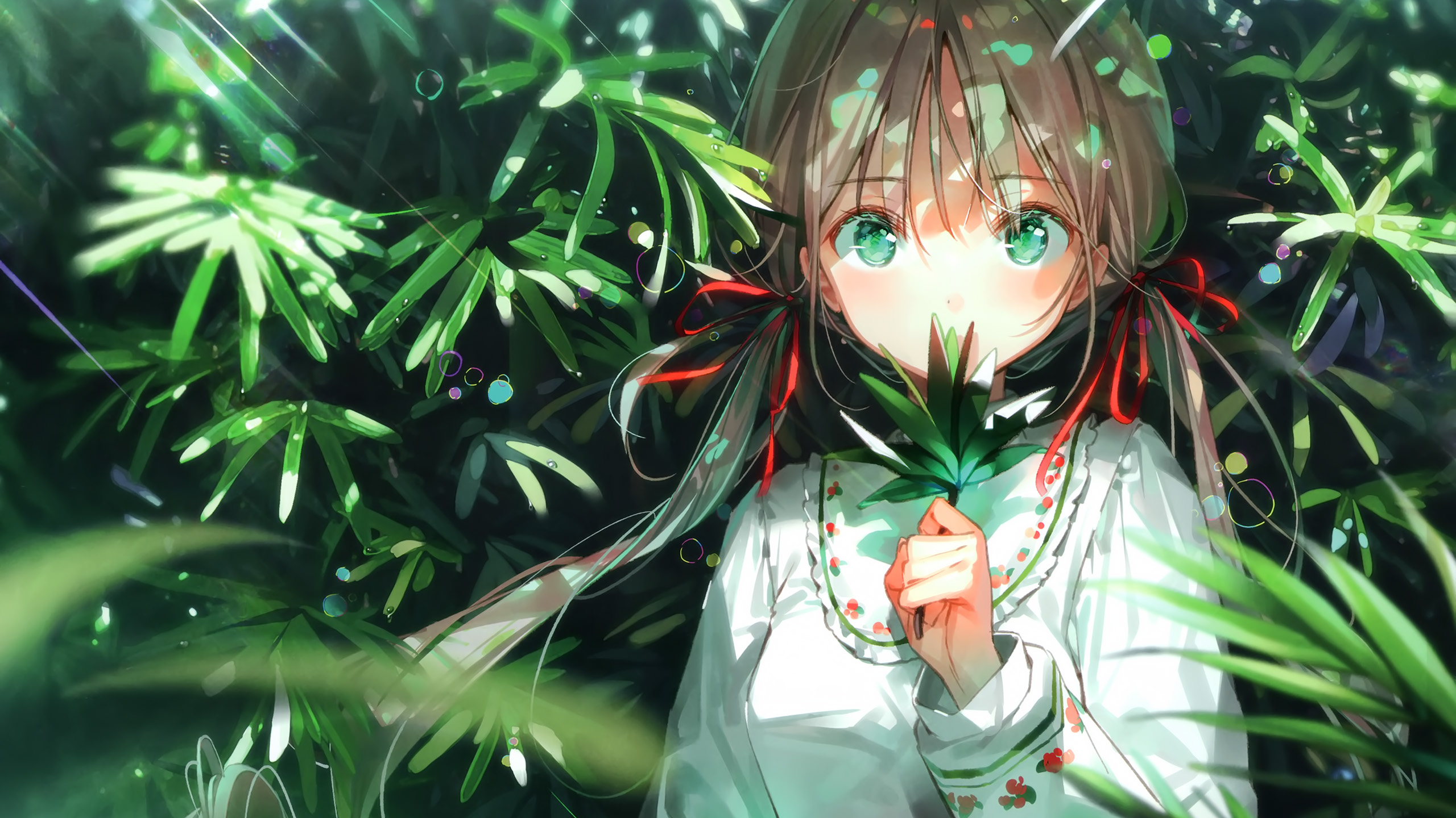 漂亮的壁纸我来分享